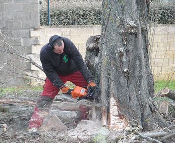 Travaux d’abattage avec Chasagrande Enzo